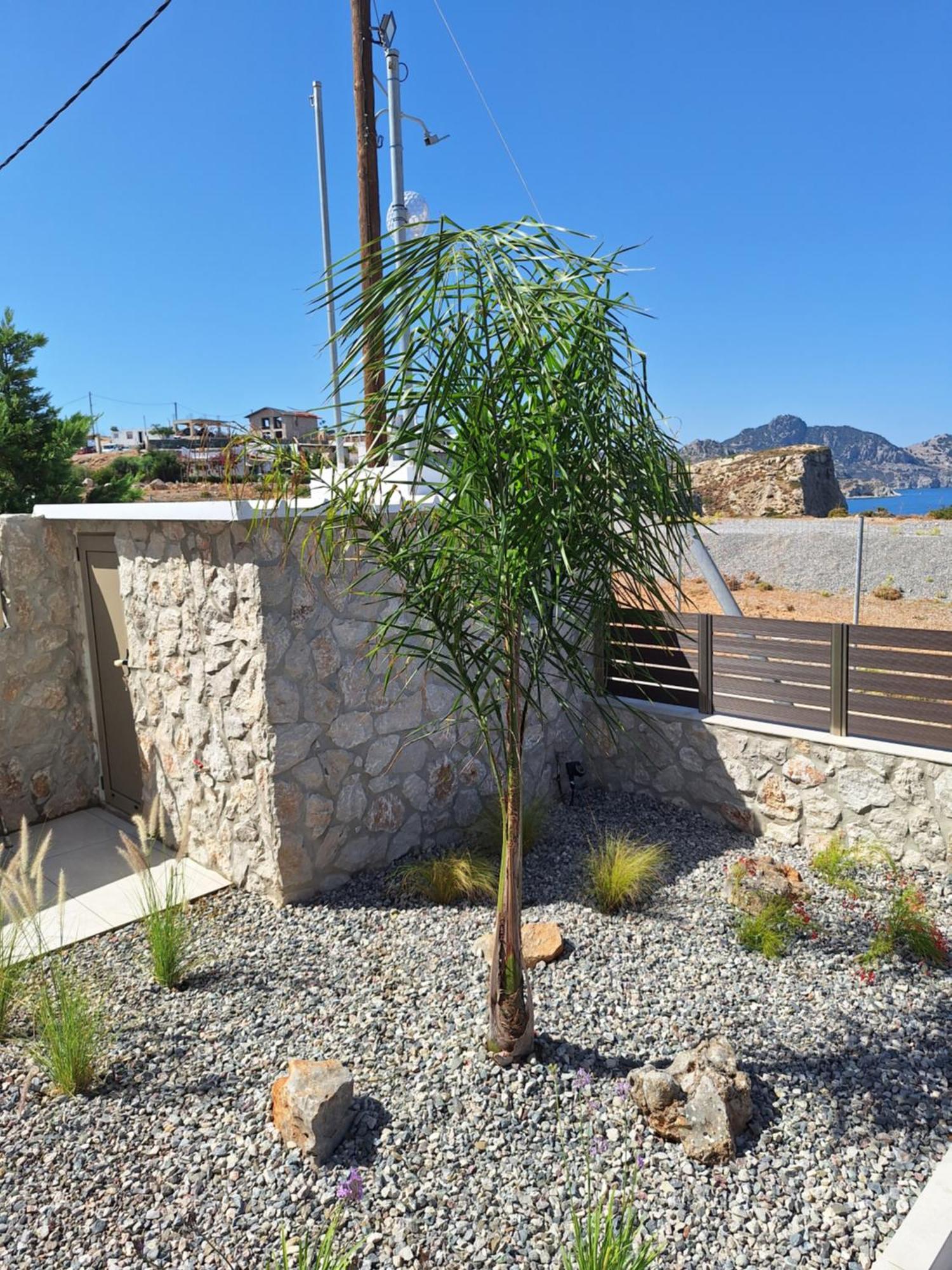 Villa Pava-Sea View Brand New 2024 Villa Archangelos  Esterno foto